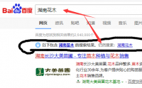 通過百度，我才發(fā)現(xiàn)湖南再無花木
