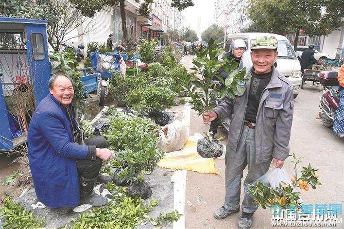 農(nóng)村集市苗木買賣