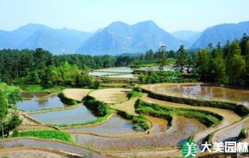 湖南津市大力開展秋冬造林發展苗木產業助農增收